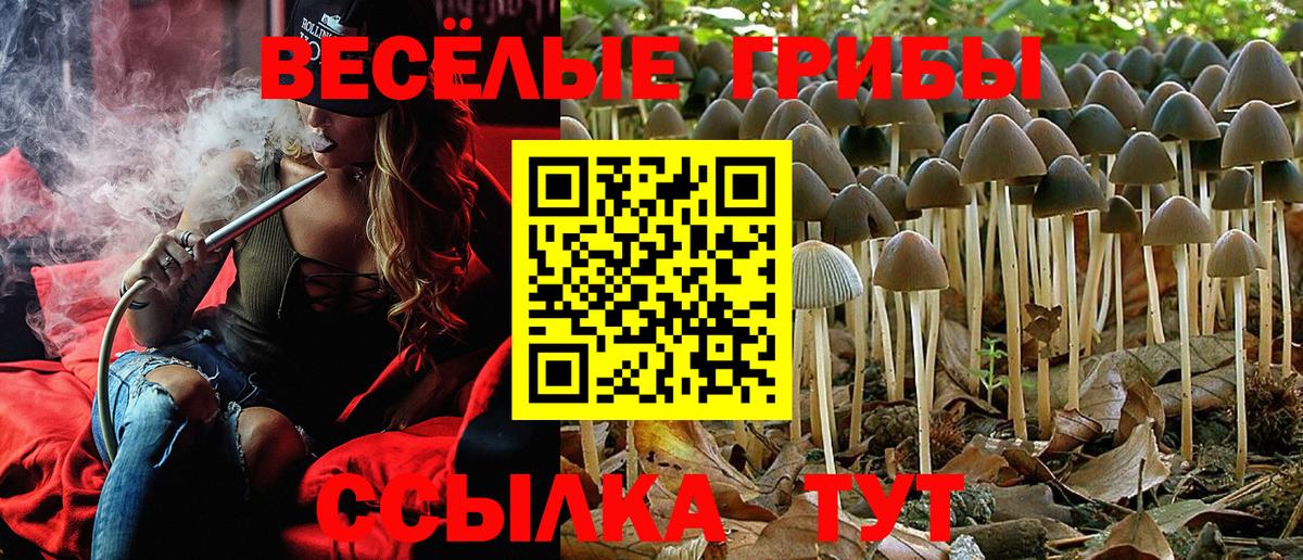 Светлоград  Галлюциногенные грибы прущие грибы  Вход с VPN 